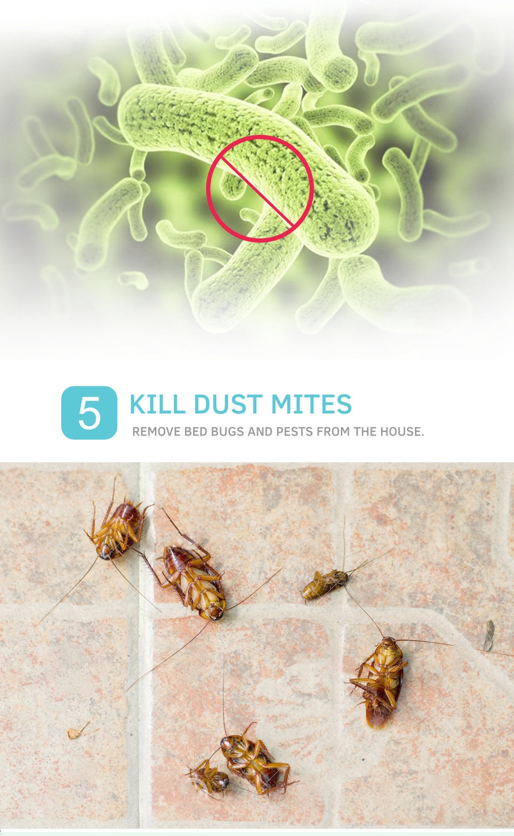 Multi-purpose-MosquitoInsect-10